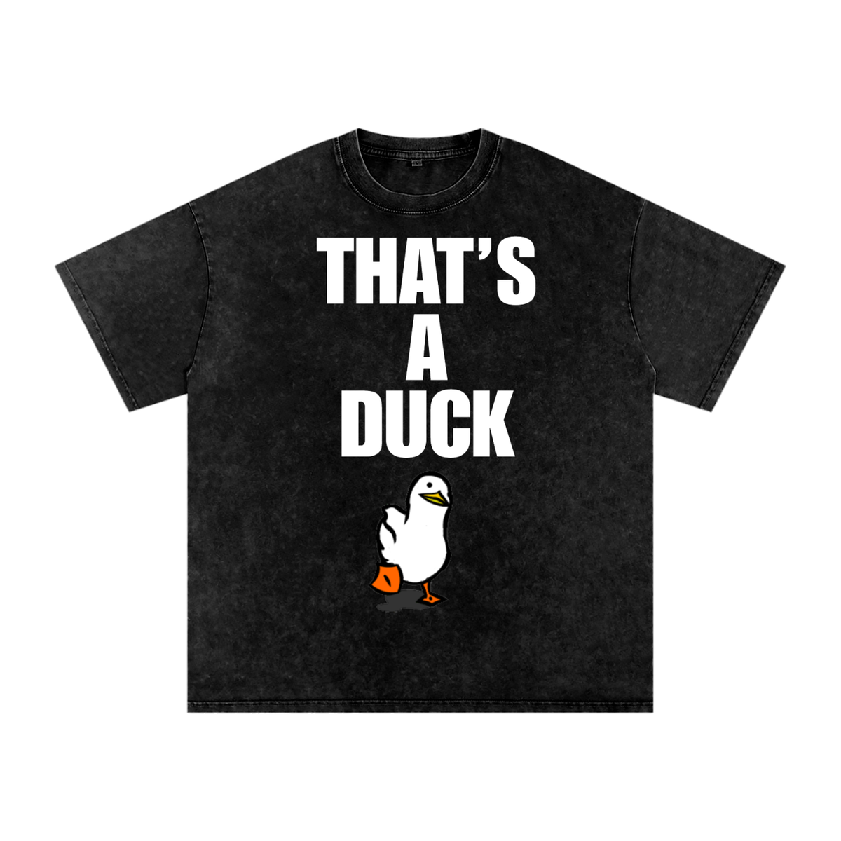 Snow Washed duck tee
